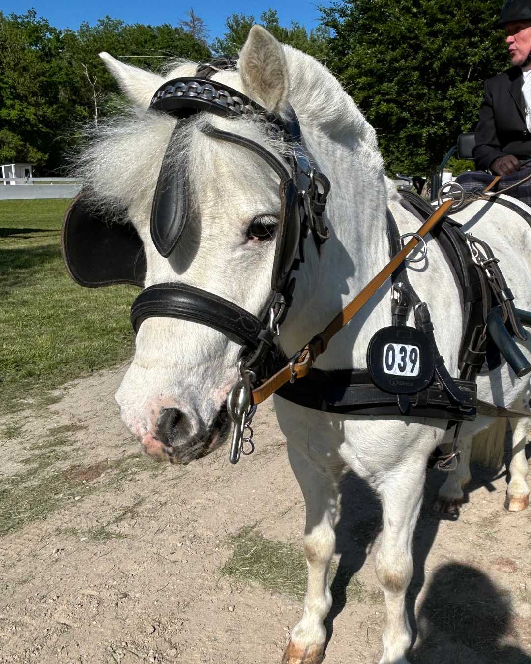 WEISSL Startnummern Leder rund