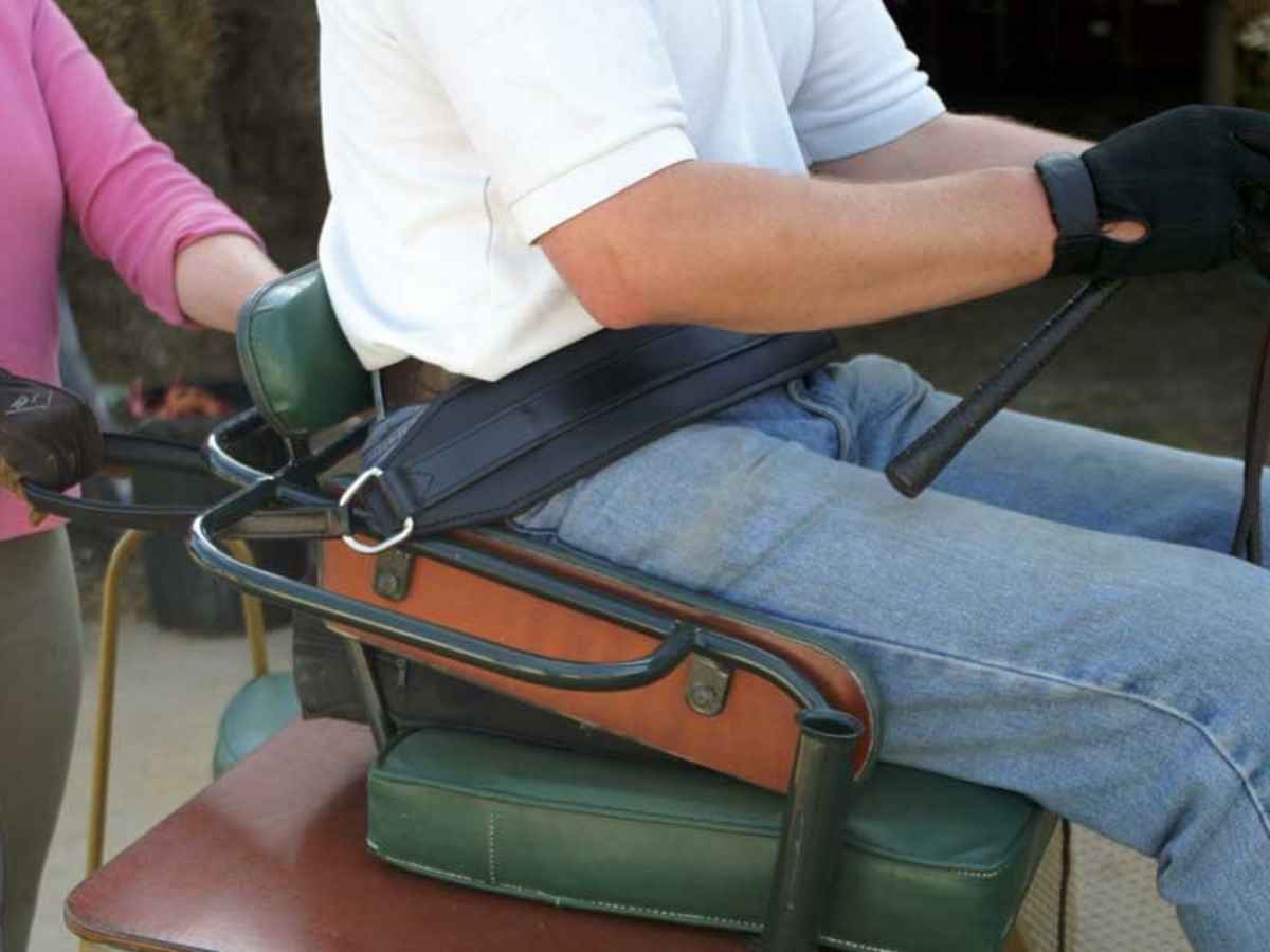 Zilco Anschnallgurt für Kutschfahrer