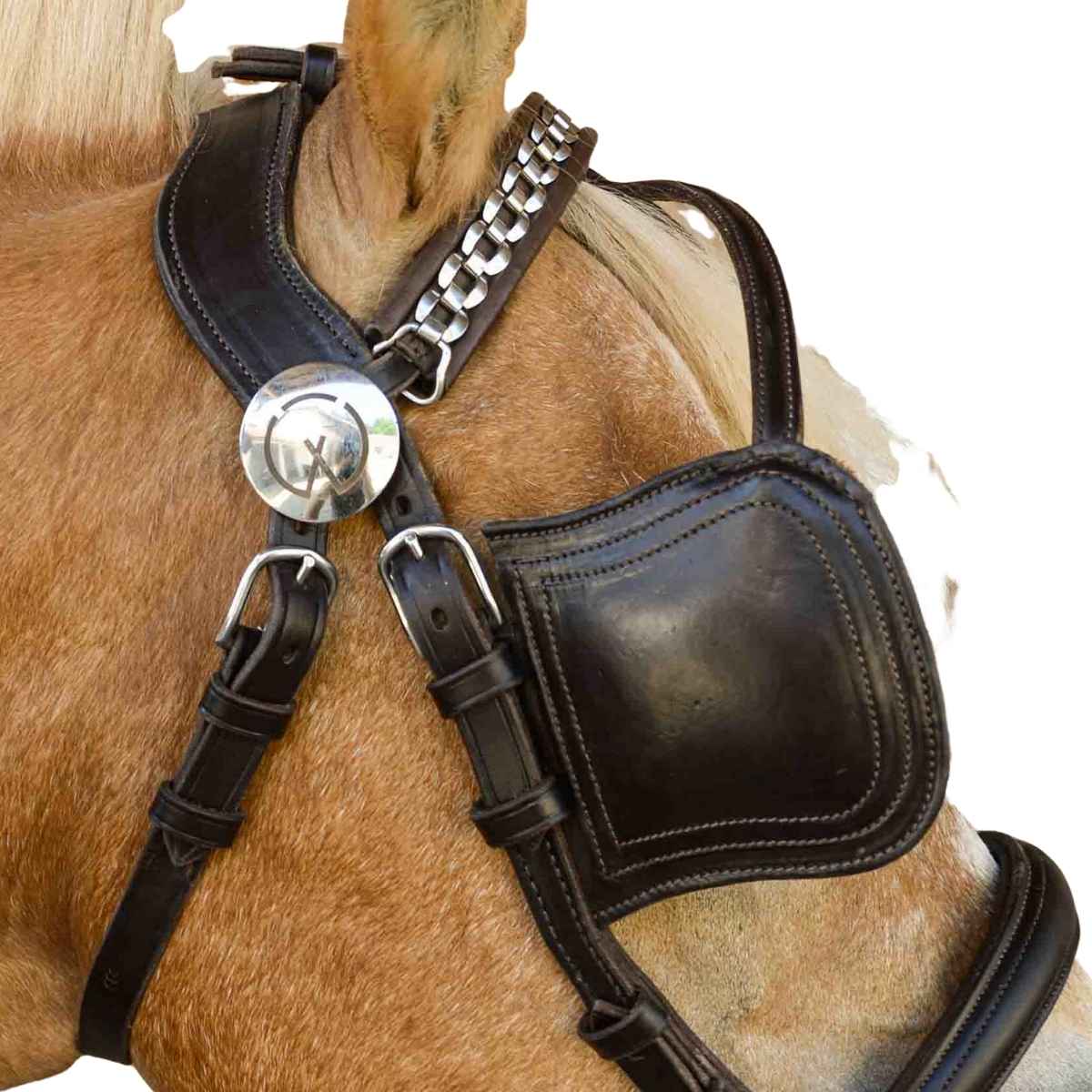 WEISSL Stirnriemen für Fahrzaum mit Silberkette