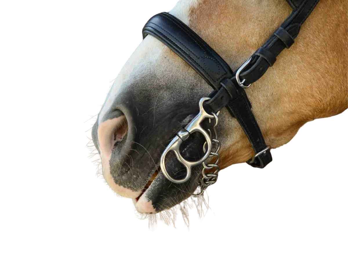 WEISSL Postkandare mit beweglichen Seitenteilen, 125 mm bis 185 mm