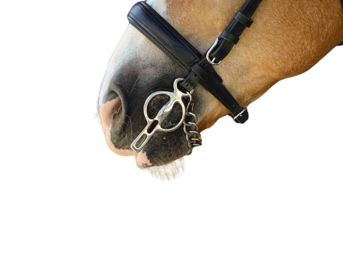 WEISSL Liverpoolkandare mit festen Seitenteilen 2 Schlitze, 125 mm bis 185 mm