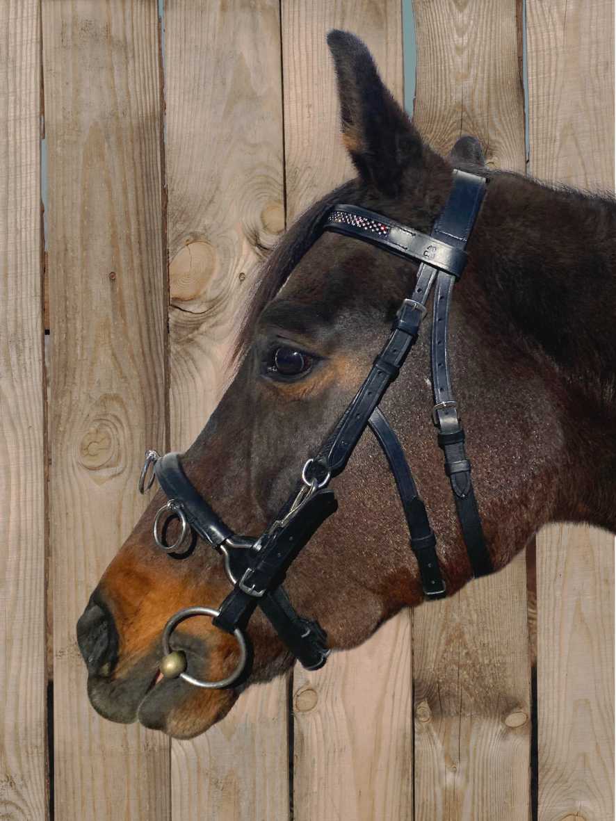 WEISSL Kappzaum Glitzer Silver Edition Crystal