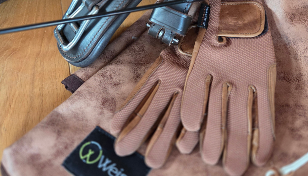 Fahrsport Ausrüstung – warum Fahrhandschuhe, Bockdecke und Fahrpeitsche den Unterschied machen