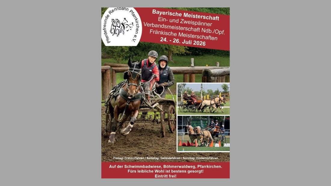 Bayerische Meisterschaft Ein- und Zweispänner in Pfarrkirchen