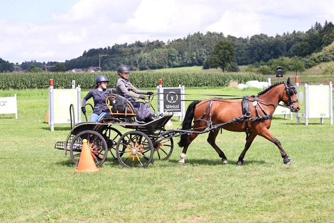 WEISSL Fahrsport Cup: Spannende Fahrten in Höselhurst begeistern Zuschauer