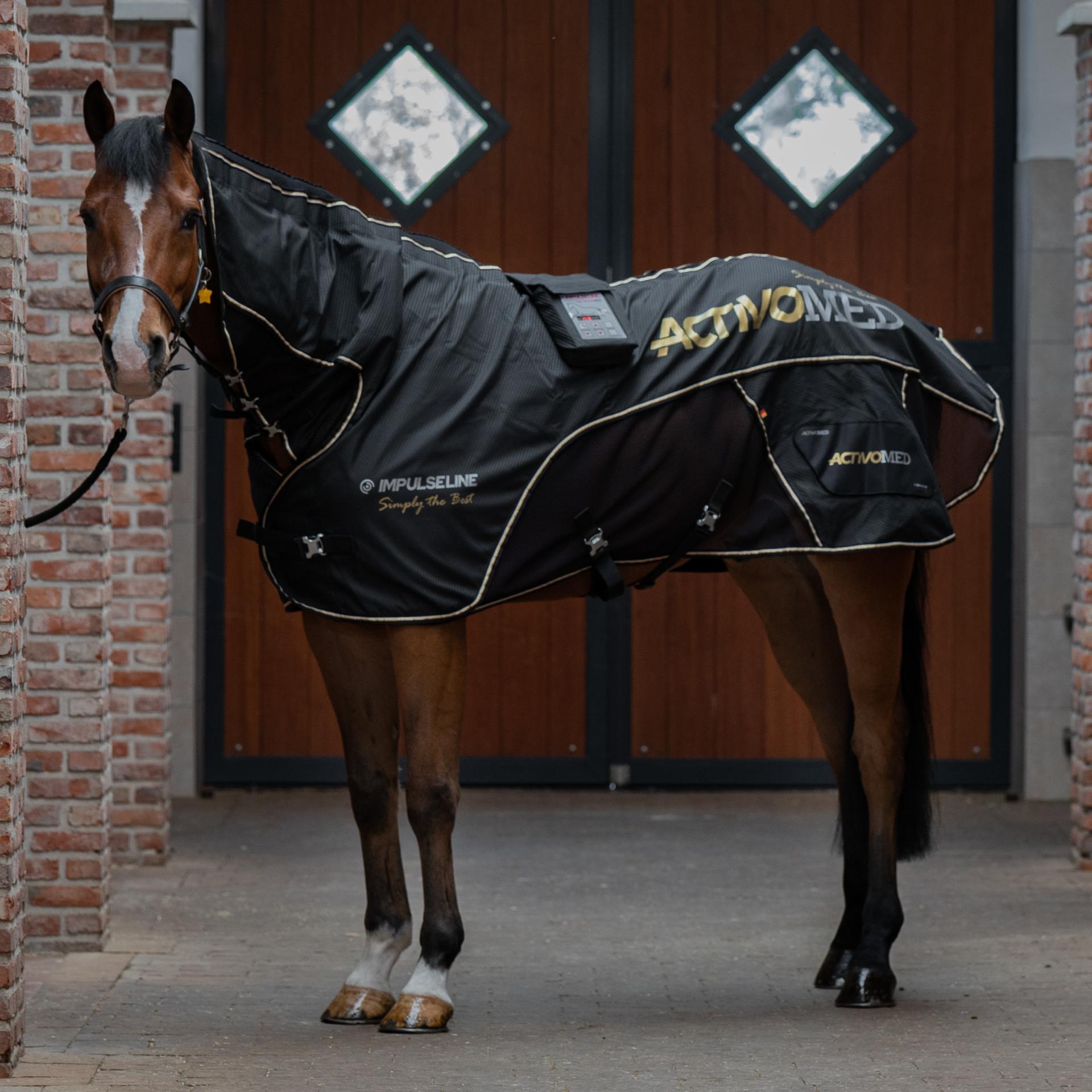 ACTIVOMED Magnetfelddecke + Massage Simply the Best inkl. 2 Stück Gamaschen, Größe XL