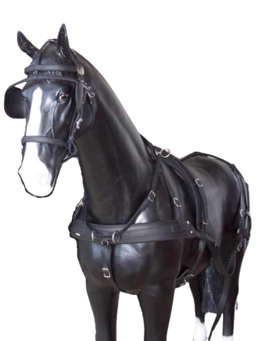 Arden Training Zweispänner Biothane Geschirr mit Hintergeschirr 