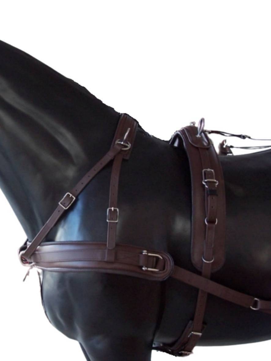 Arden Training Zweispänner Biothane Geschirr mit Hintergeschirr 