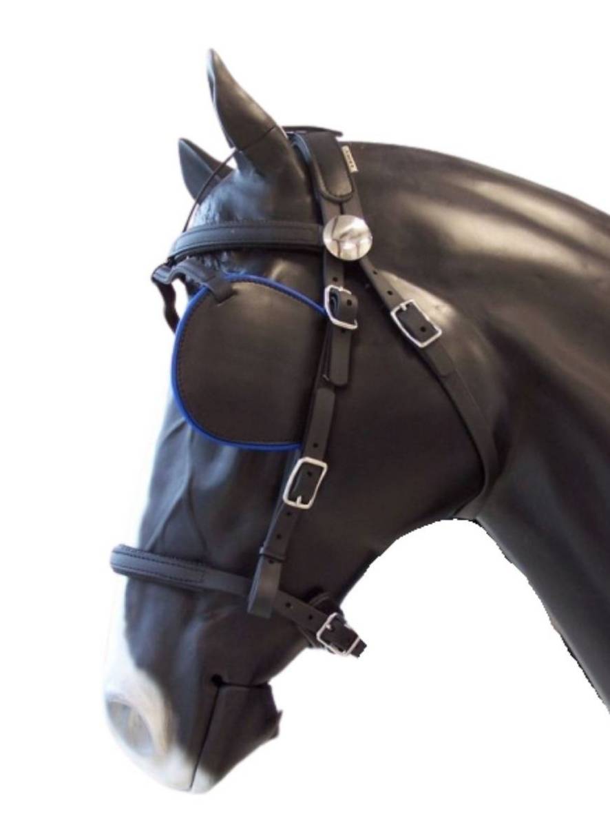 Arden Marathon Biothane Stirnriemen schwarz mit farbigem Keder