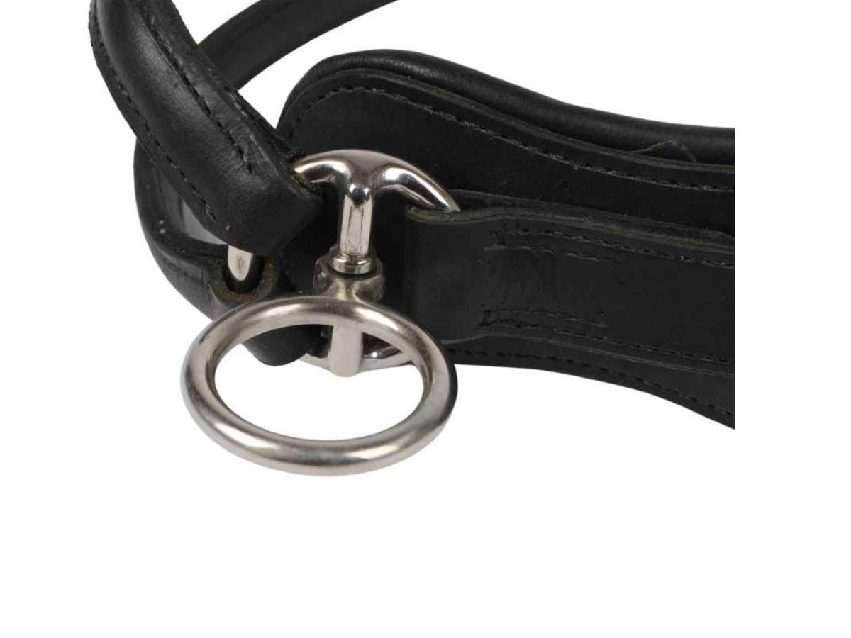 WEISSL Brustblattträger inkl. Halskoppelriemen Zweispänner links rechts COMBI SPORT