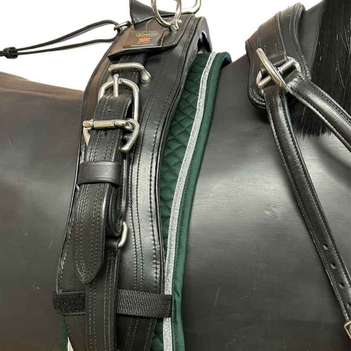 WEISSL Selettunterlage Longiergurtunterlage, rein Baumwolle, Glitzer