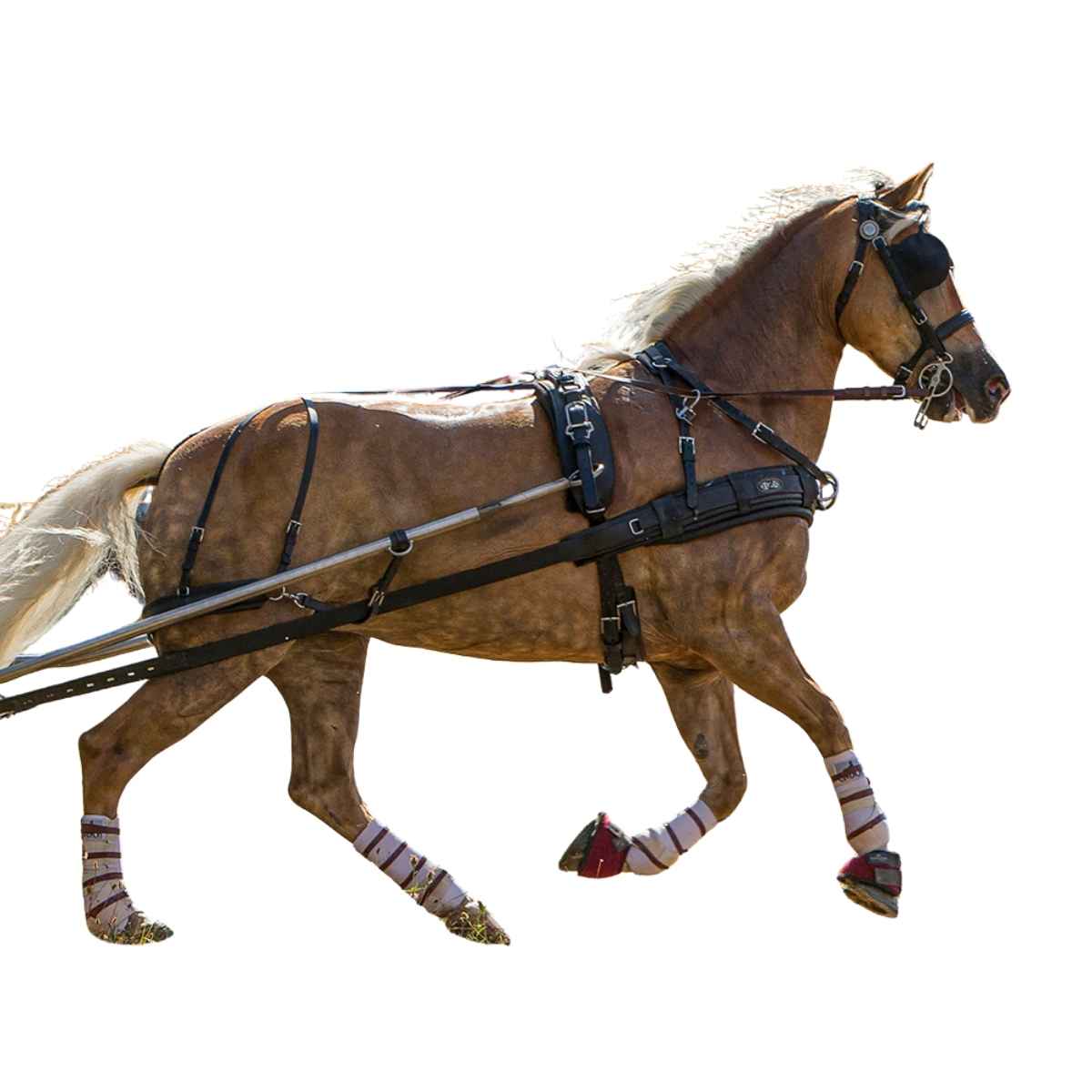 ZILCO Pferdegeschirr Brustblatt Einspänner ZGB