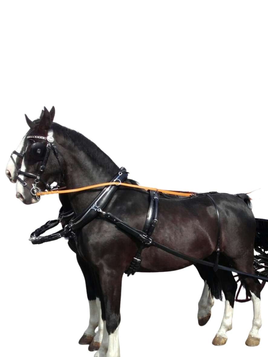 Arden Pferdegeschirr LUX Biothane Zweispänner Englisches Kummet mit Strangträger 