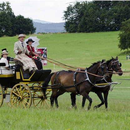 Arden Pferdegeschirr LUX Biothane Zweispänner Englisches Kummet mit Strangträger 