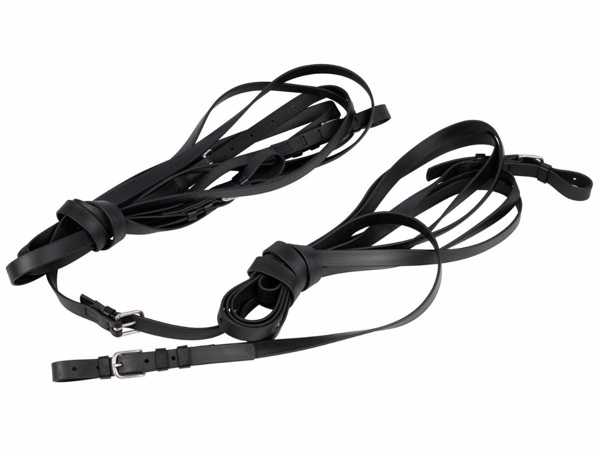 Arden Fahrleine Tandem Biothane Komplettset