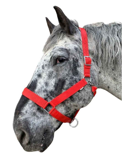 WEISSL Kaltbluthalfter X-Treme, extra stark