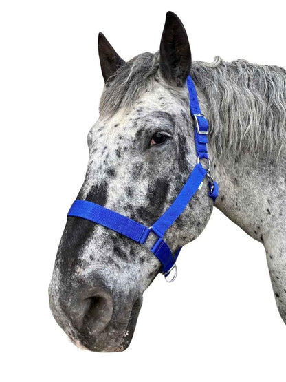 WEISSL Kaltbluthalfter X-Treme, extra stark