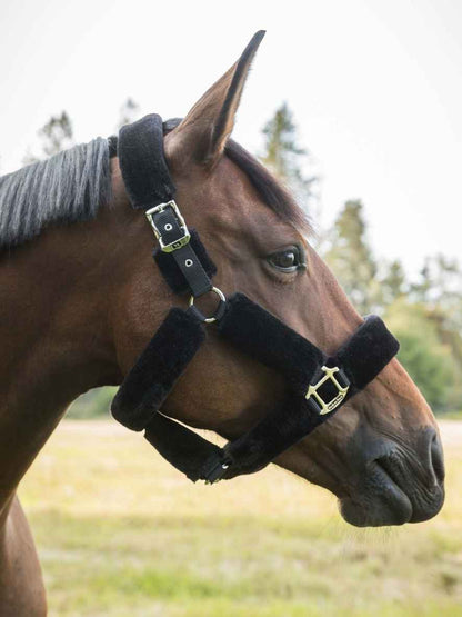 BACK ON TRACK Halfter Fell Audrey 