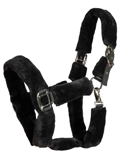 BACK ON TRACK Halfter Fell Audrey 