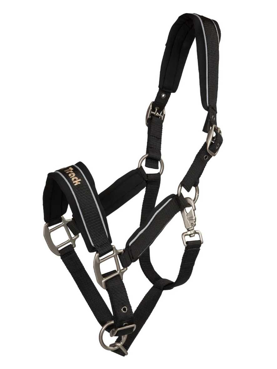 BACK ON TRACK Halfter Werano mit Reflektorstreifen