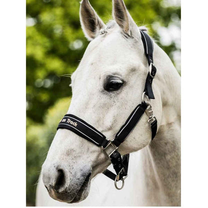 BACK ON TRACK Halfter Werano mit Reflektorstreifen