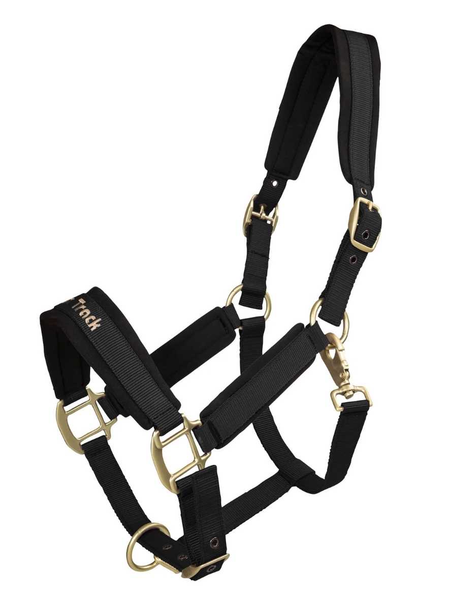 BACK ON TRACK Halfter Werano, schwarz, FULL