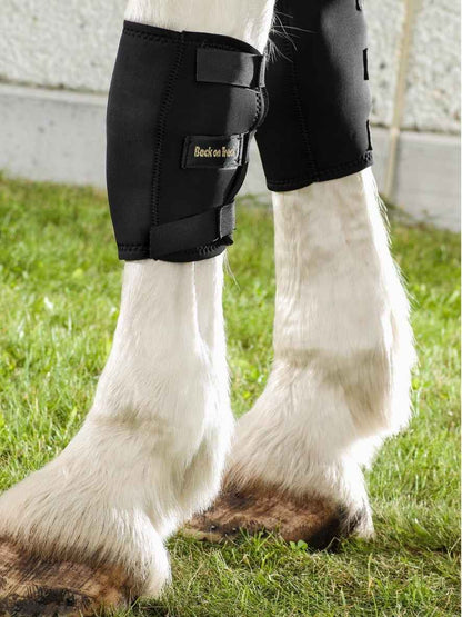 BACK ON TRACK Karpalgelenkschoner RECHTS