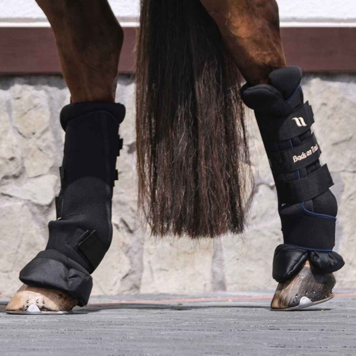 BACK ON TRACK Stallgamaschen Royal Deluxe