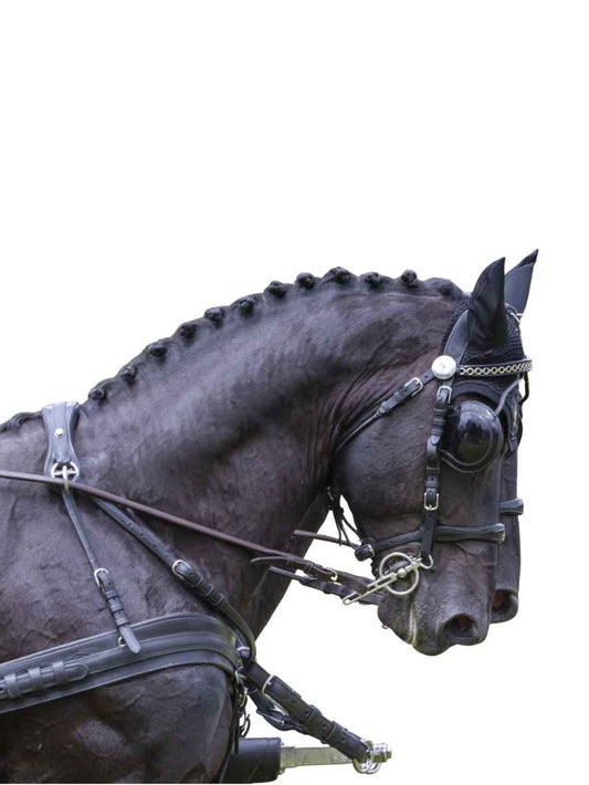 Arden Pferdegeschirr Leder Super LUX Zweispänner Brustblatt anatomisch mit Strangträger