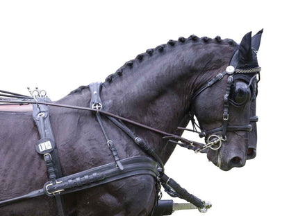 Arden Pferdegeschirr Leder Super LUX Zweispänner Brustblatt anatomisch mit Strangträger