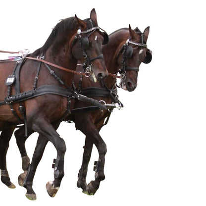 Arden Pferdegeschirr Leder LUX Zweispänner Brustblatt anatomisch mit Strangträger