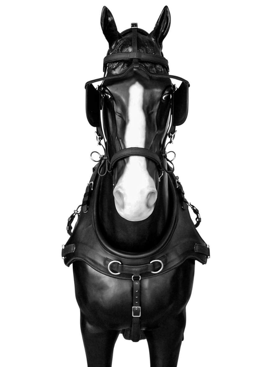 Arden Pferdegeschirr Biothane Lux Einspänner Marathonkummet