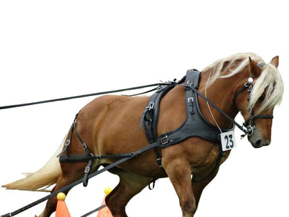 Arden Pferdegeschirr Biothane Einspänner Marathonkummet schwarz mit farbigem Keder (