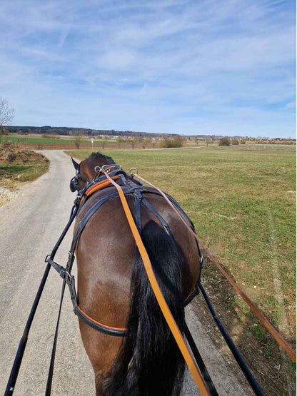 WEISSL Pferdegeschirr Brustblatt Einspänner CLASSIC, schwarz / braun, FULL