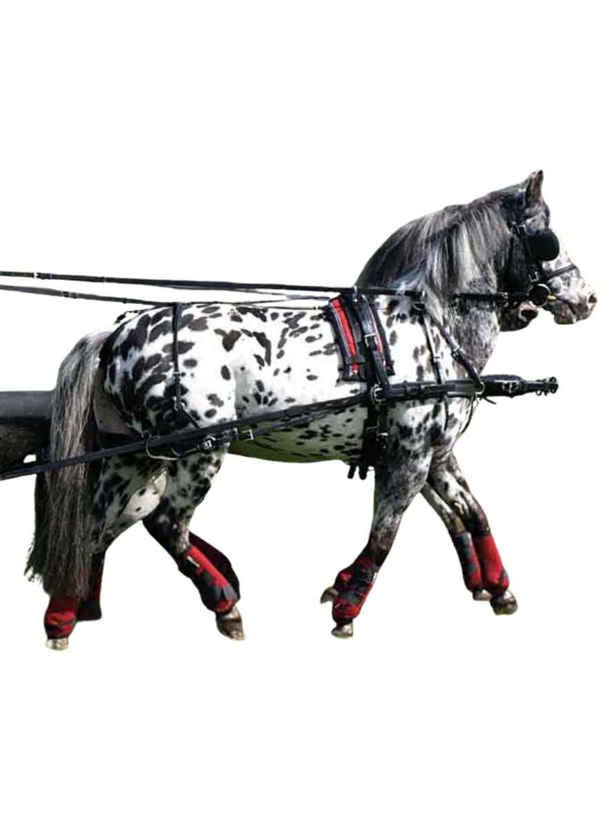 ZILCO Pferdegeschirr Brustblatt Zweispänner SL SHETLAND