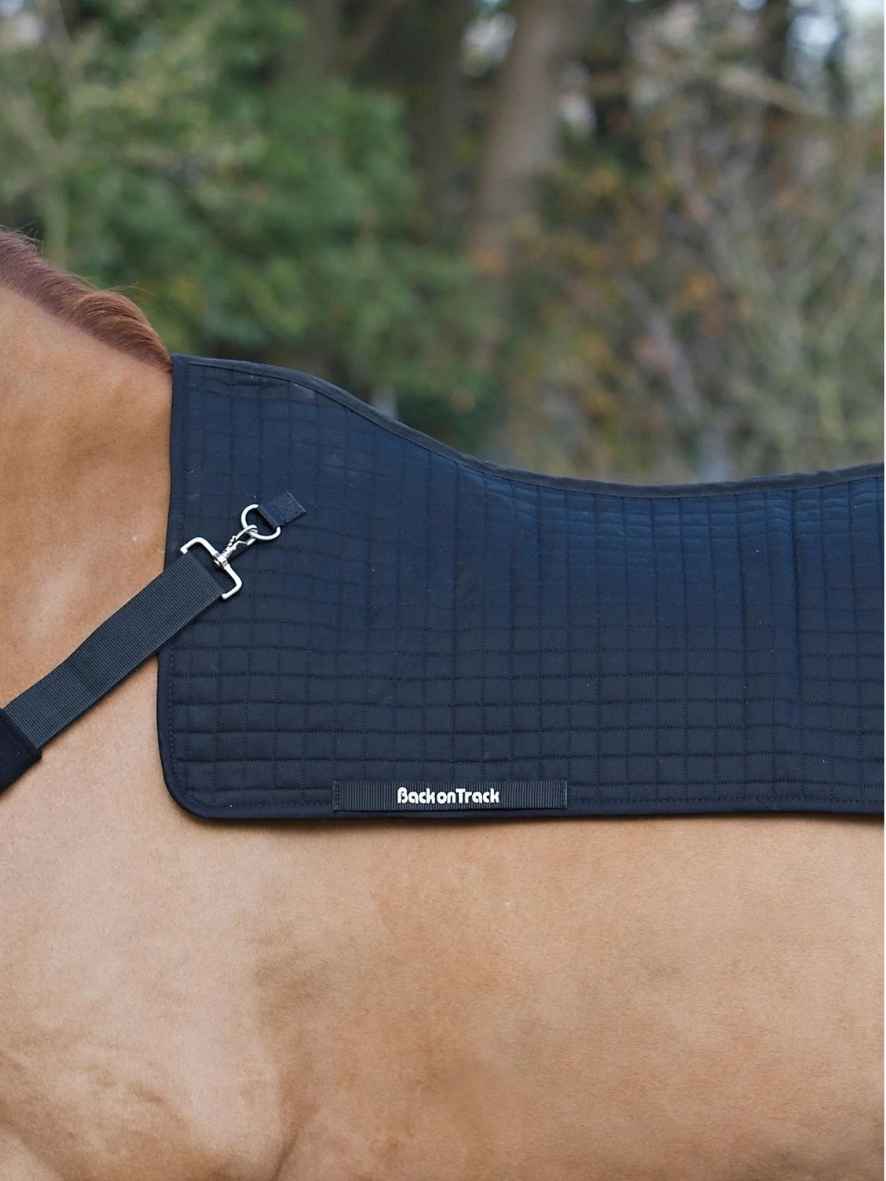 BACK ON TRACK Rückenwärmer Pferd Royal, schwarz, 80 cm x 105 cm 