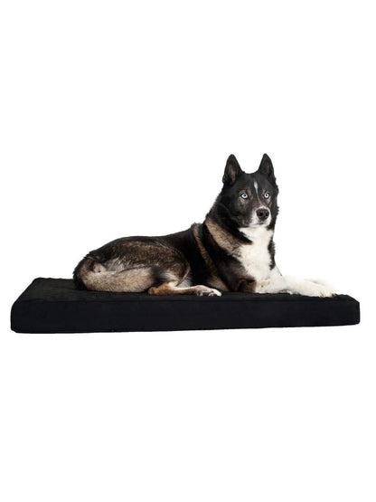 BACK ON TRACK Hundematratze 