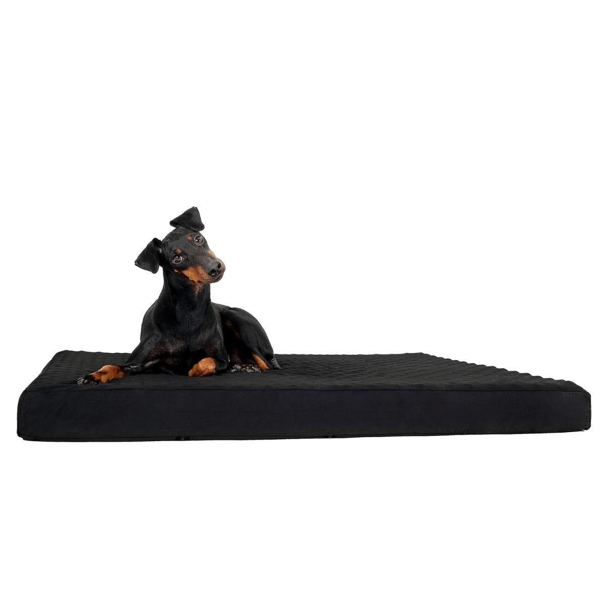 BACK ON TRACK Hundematratze 