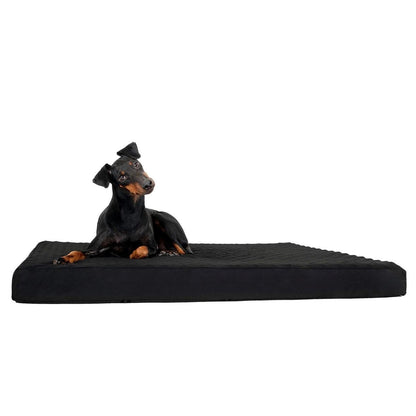 BACK ON TRACK Hundematratze 