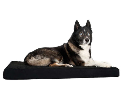 BACK ON TRACK Hundematratze 