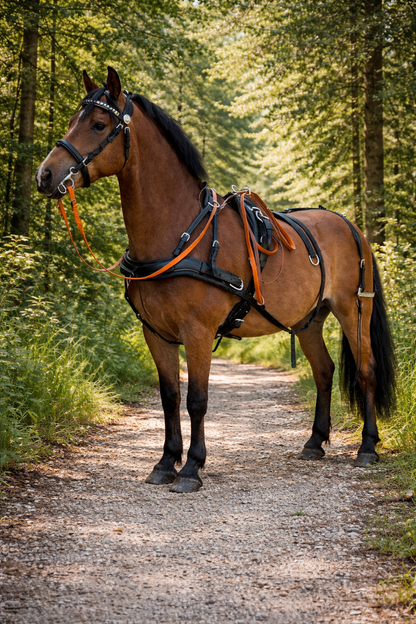 WEISSL Pferdegeschirr Brustblatt Einspänner CLASSIC