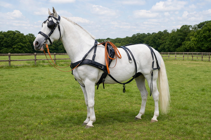 WEISSL Pferdegeschirr Brustblatt Einspänner CLASSIC