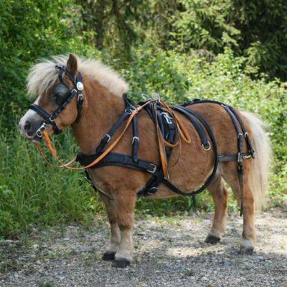 WEISSL Mini Shetty Geschirr Brustblatt Einspänner CLASSIC