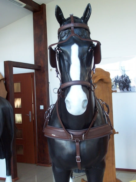 Arden Training Nasenriemen