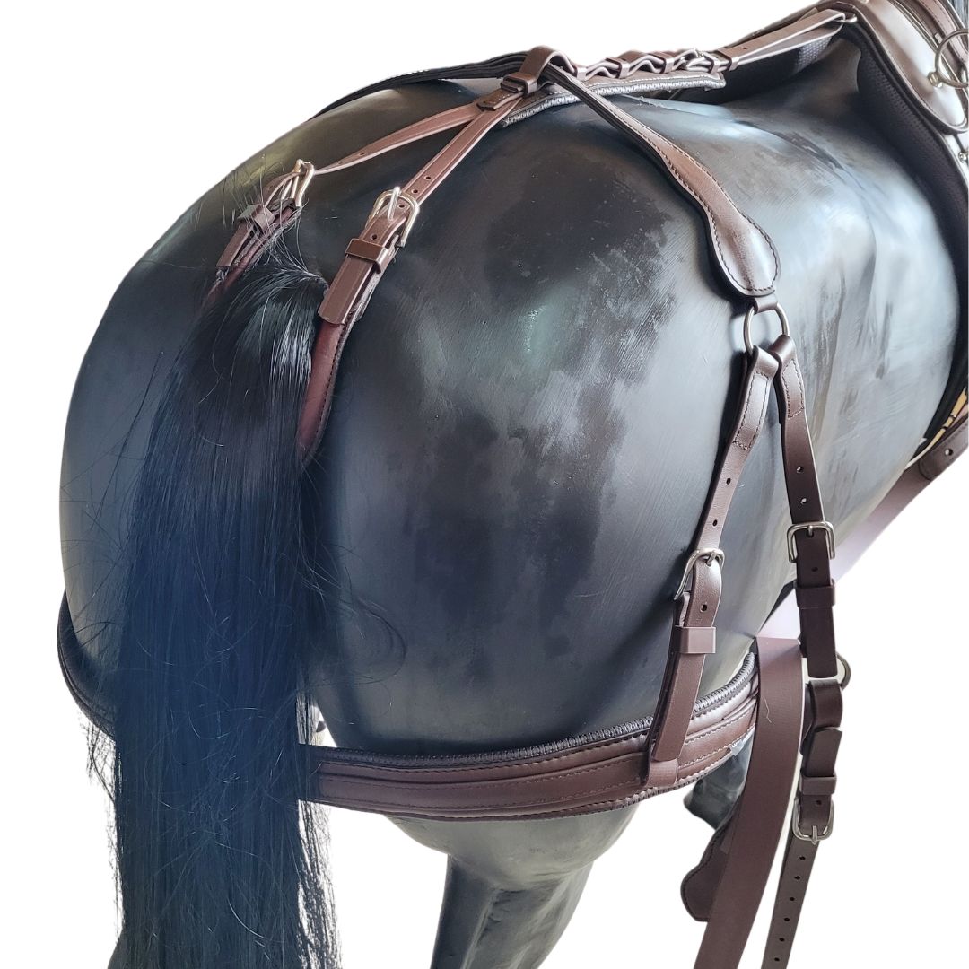 Arden Lux 2 Sp. Biothane Geschirr anatomisch mit Strangträger